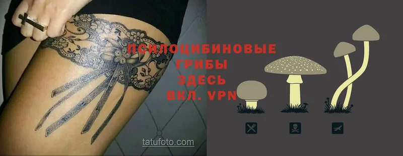 Галлюциногенные грибы Magic Shrooms  что такое   Алейск 